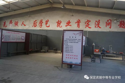 保定虎振學校開學啦