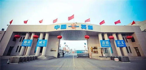 最新 保定線下教育培訓機構開班時間確定 英利正式進入司法重整程序