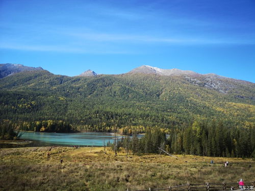 天津 實現安全管理人員證書核發全程自助 無人審批 http www.fengpintech.com uploads 20201119 46581605747449.jpg 保定市建筑科技教育中心