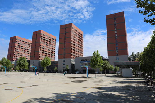 太美啦 這就是賀陽教育集團的美麗校園