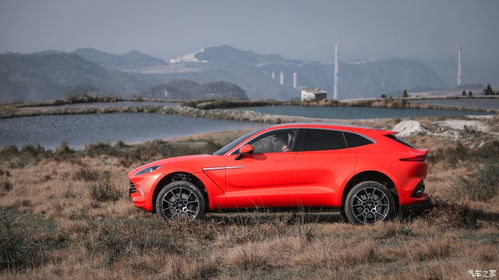 最完整的招標投標流程和步驟詳解